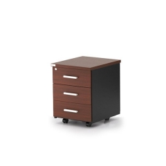 apex-desk-director desk-evo-pic-04