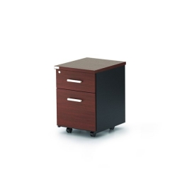 apex-desk-director desk-evo-pic-05