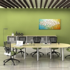 Oval Conference Table+Low Cabinet