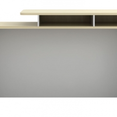 Executive Reception Counter-Back View